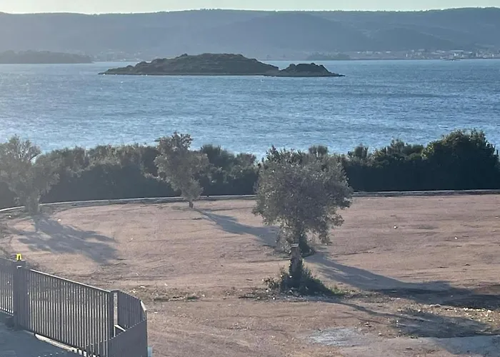 Galesnjak *